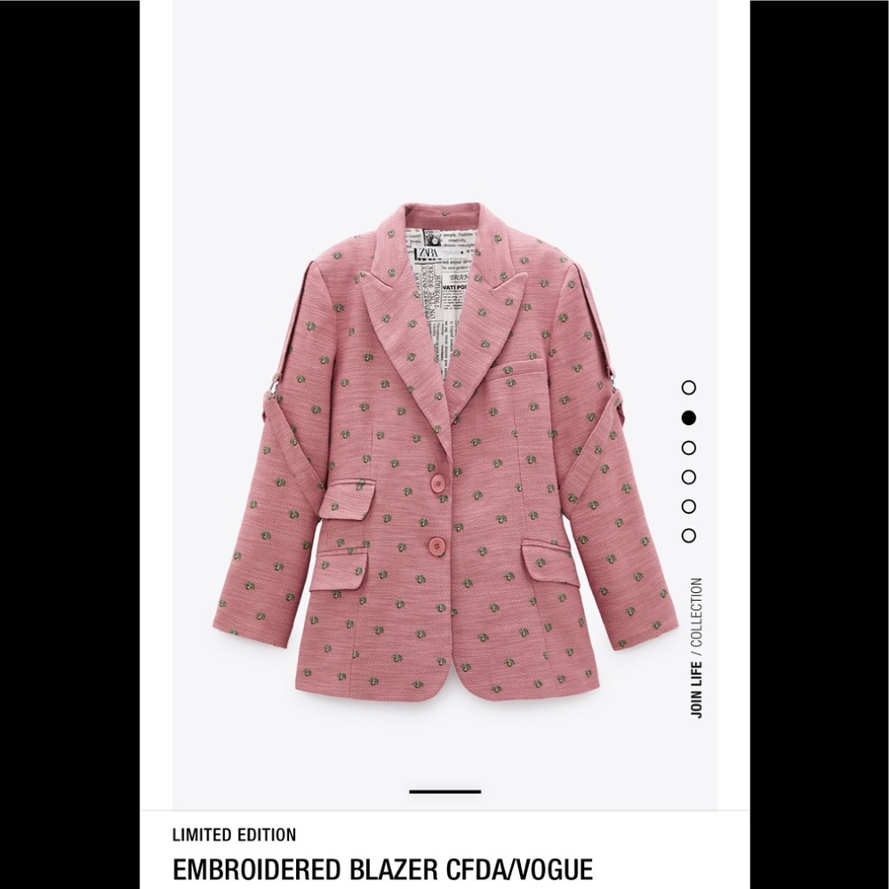 Zara Embroidered Pink Blazer CFDA/Vogue
